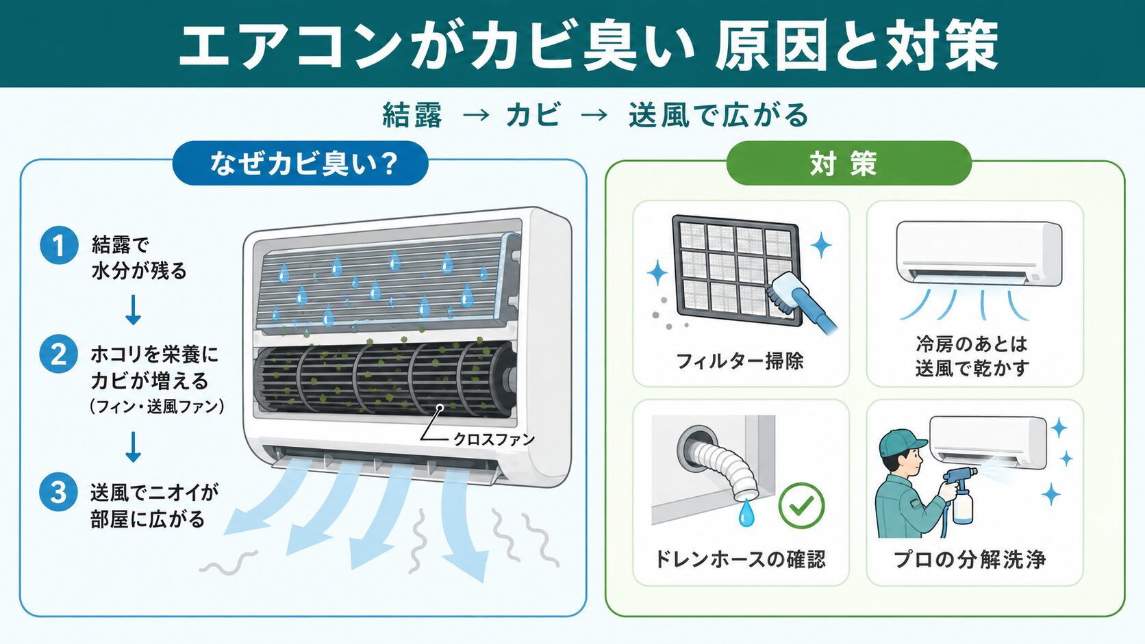 エアコンがカビ臭くなる原因と対策の図解(熱交換器とクロスファンのカビ)